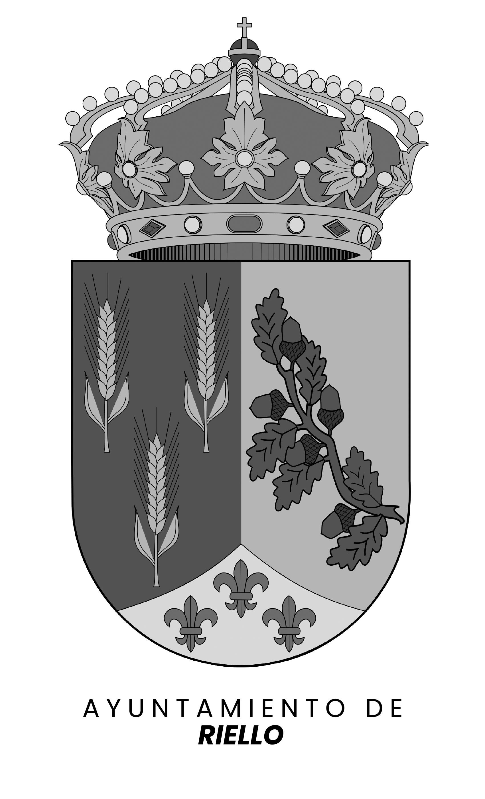 Arquitecto Ayuntamiento de Riello Rogelio Geijo